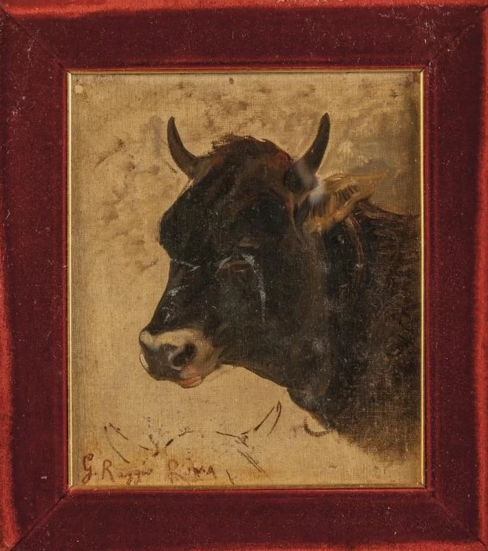 Toro maremmano